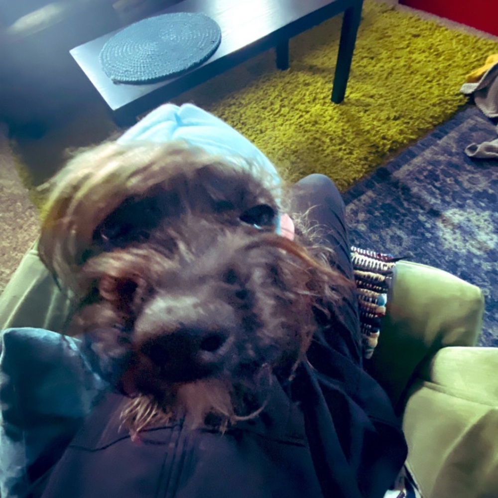 Meet your Posher, Josie